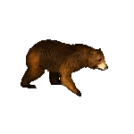 HoMM3 Медведь